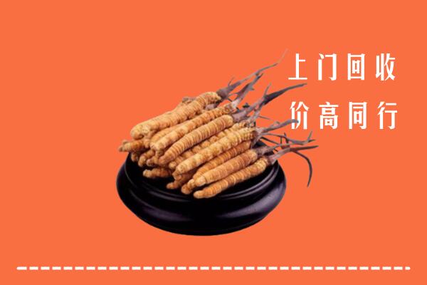 高价求购：南昌市东湖区回收散虫草
