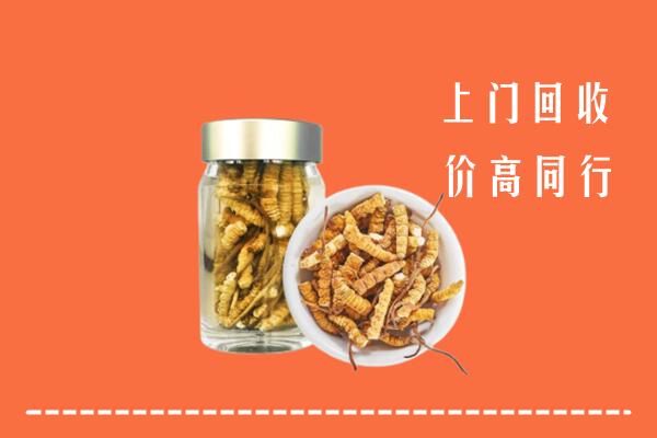南昌市东湖区回收冬虫夏草
