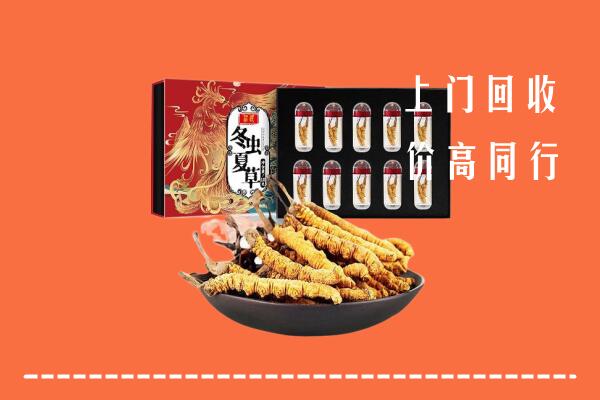 南昌市东湖区回收虫草